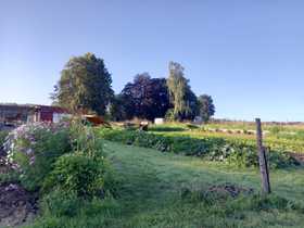 Galeriebild