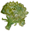 Brokkoli