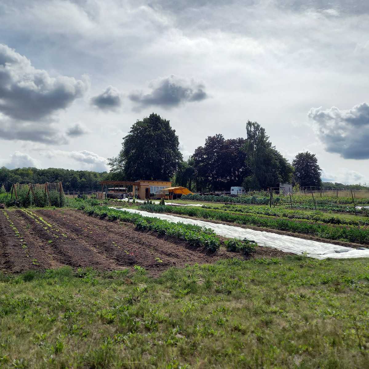 Michels Gemüsehof