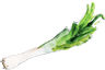 Lauch/Porree